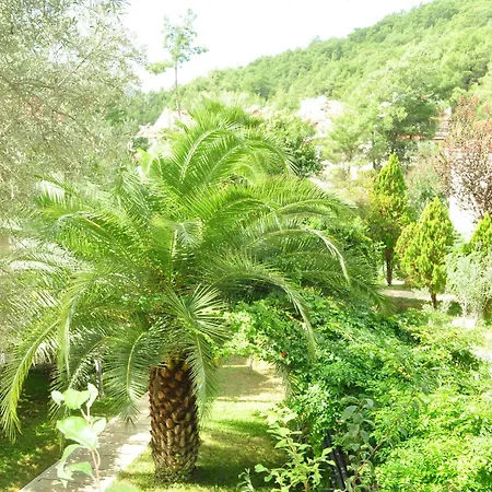 Telmessos Select - Adult Only Hotel 3*