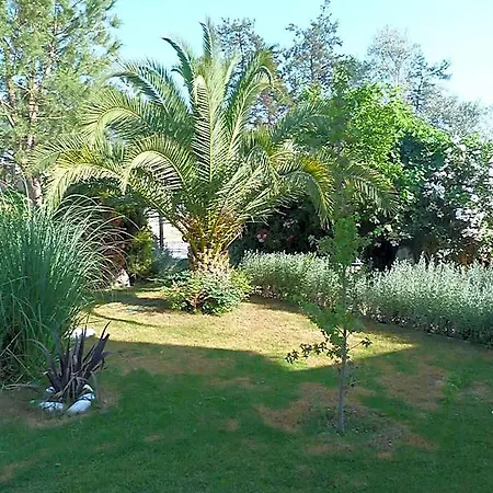 Hotel Telmessos Select - Adult Only